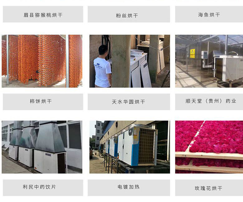 菌类烘干机